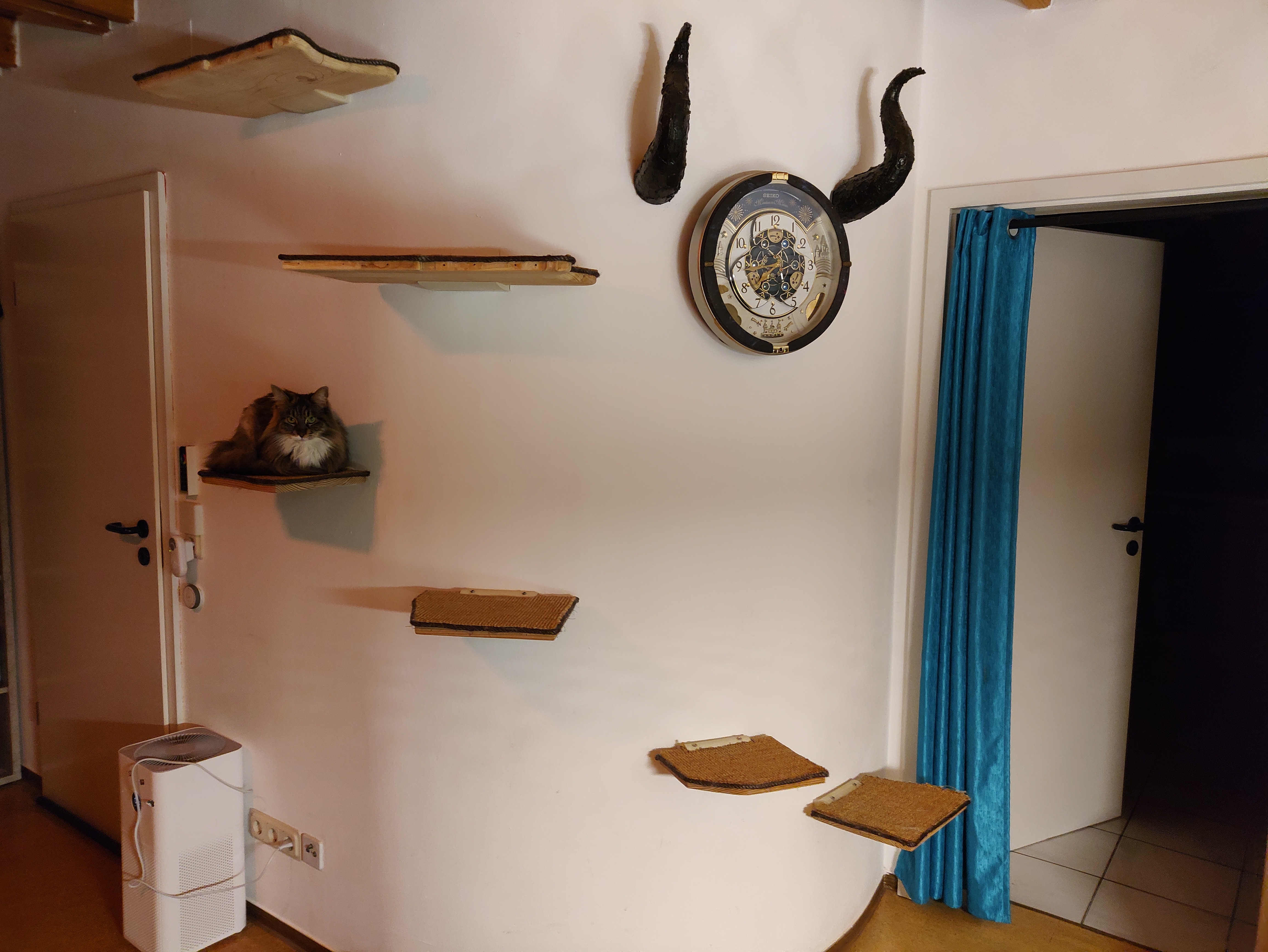 Wall mounted sleeping places for cats