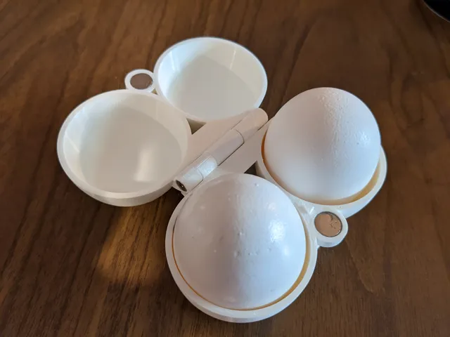 Double Egg Carton