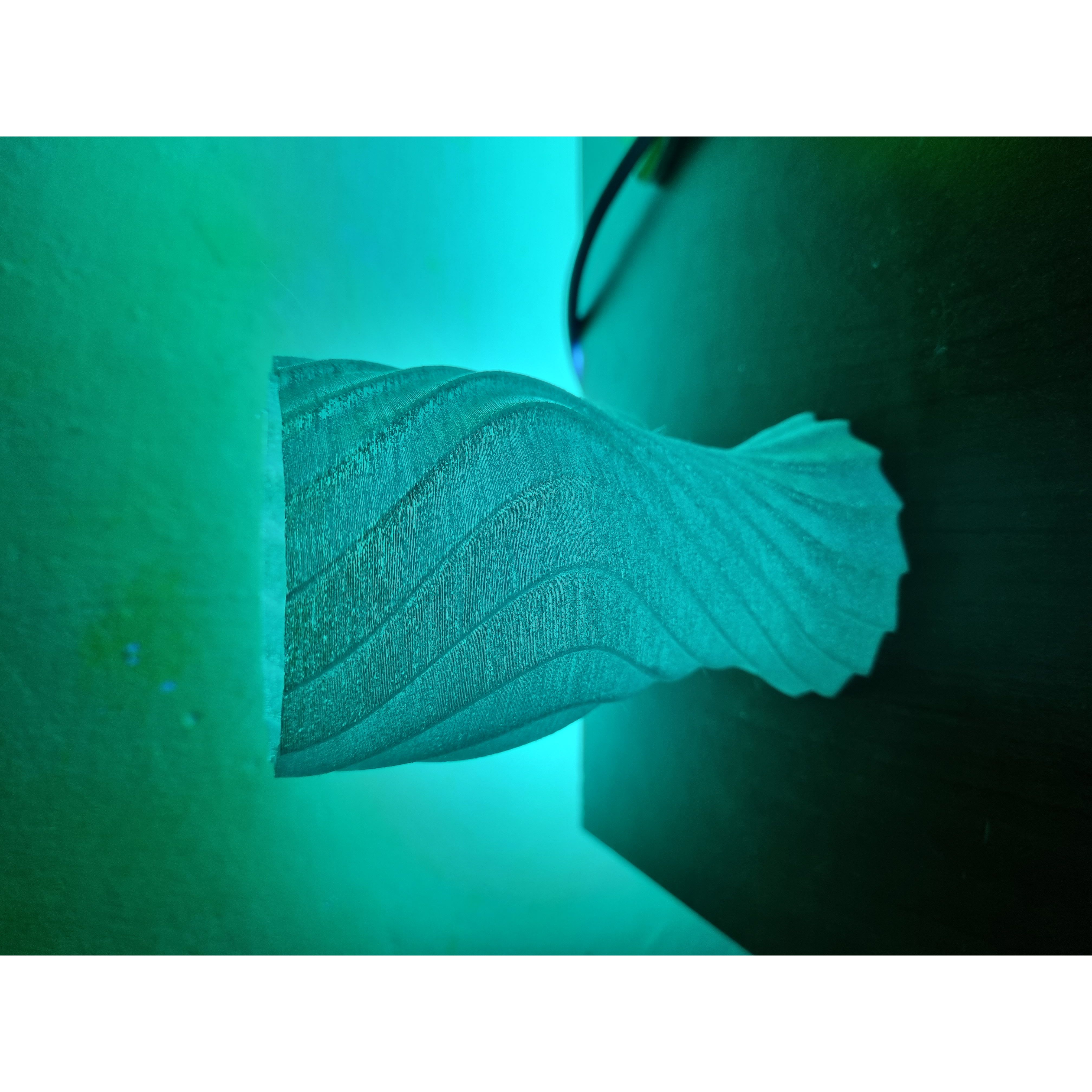 Miniatura 2 do modelo 3D Twisted Vase