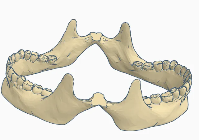 Human jaws combined macabre halloween thing
