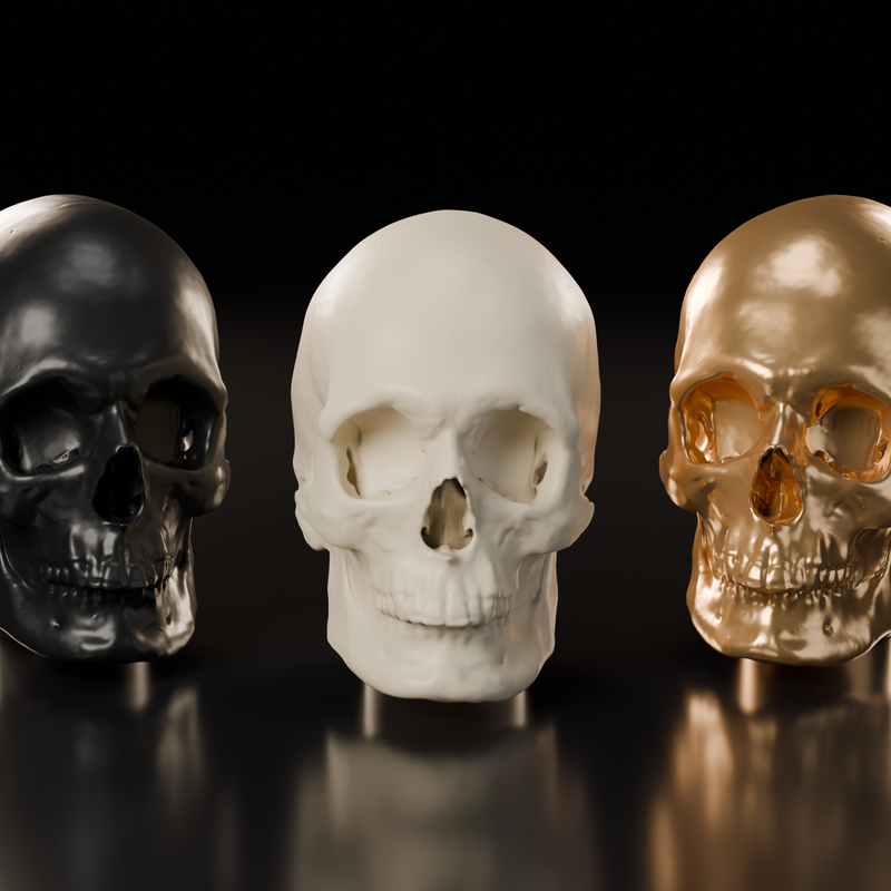 Realistic Skull Shifter Knob – Thrustmaster TH8S & Logitech RS H ...