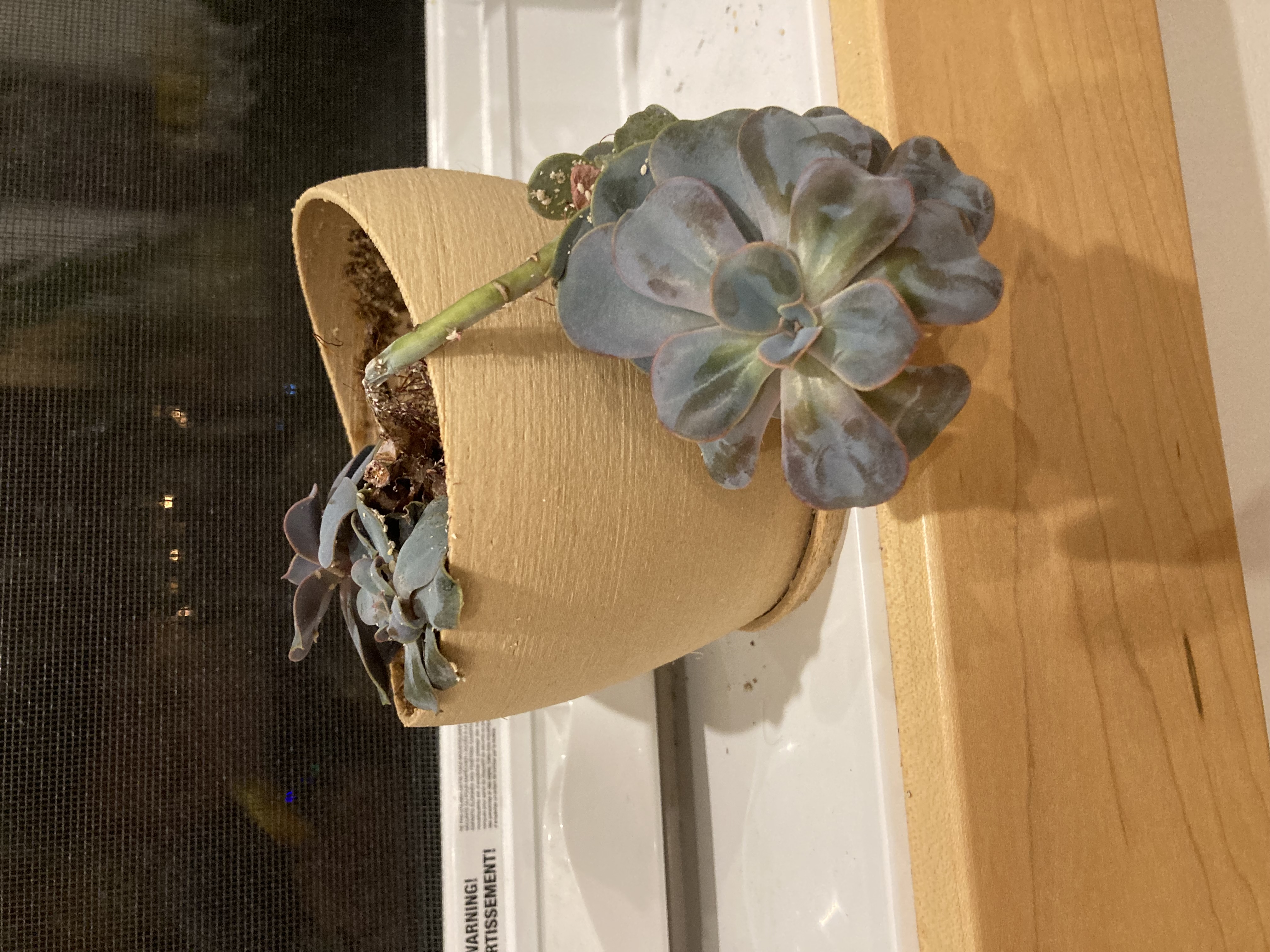 Curved Pot