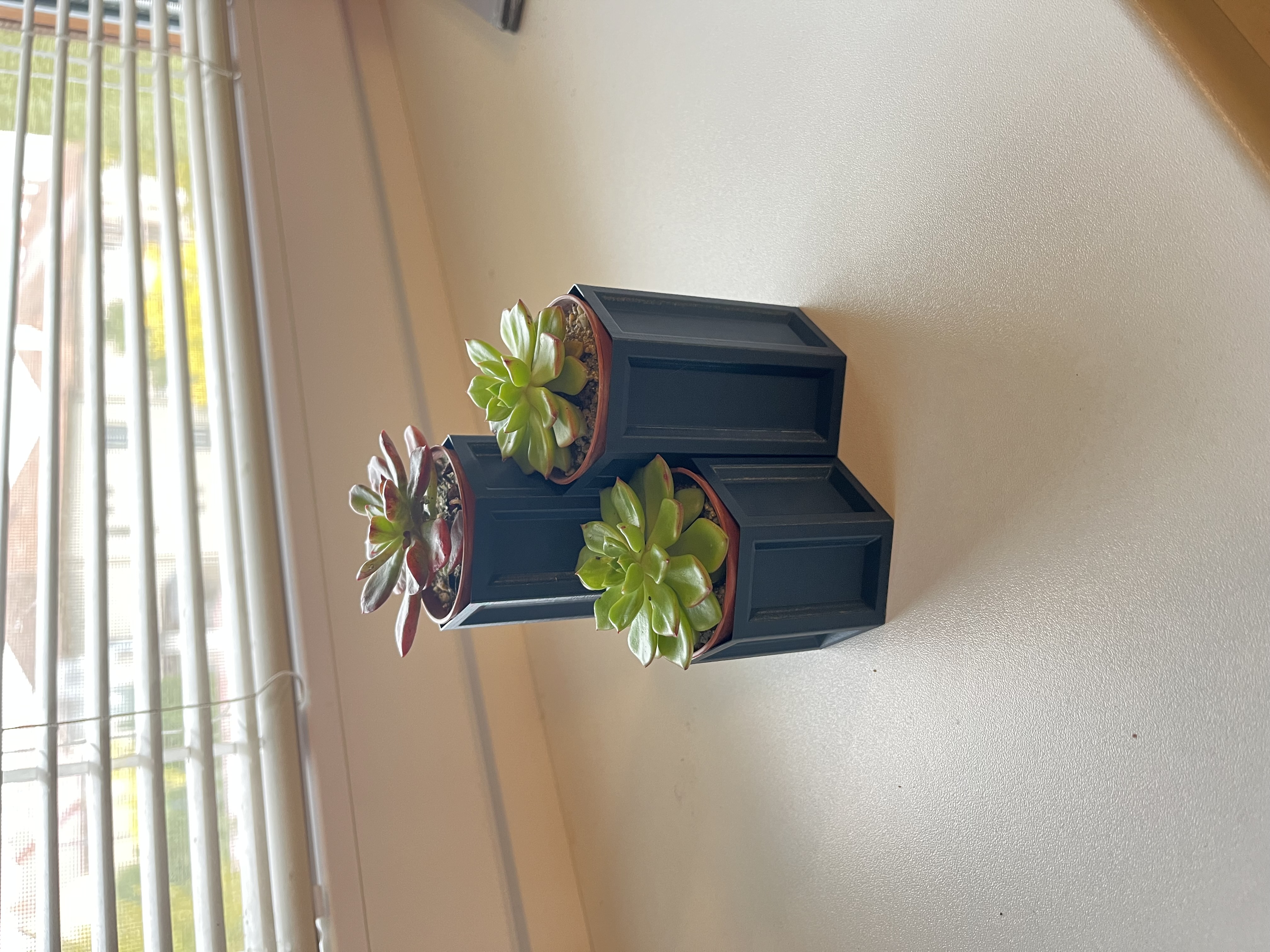 Triple vase for small succulents- vase mode