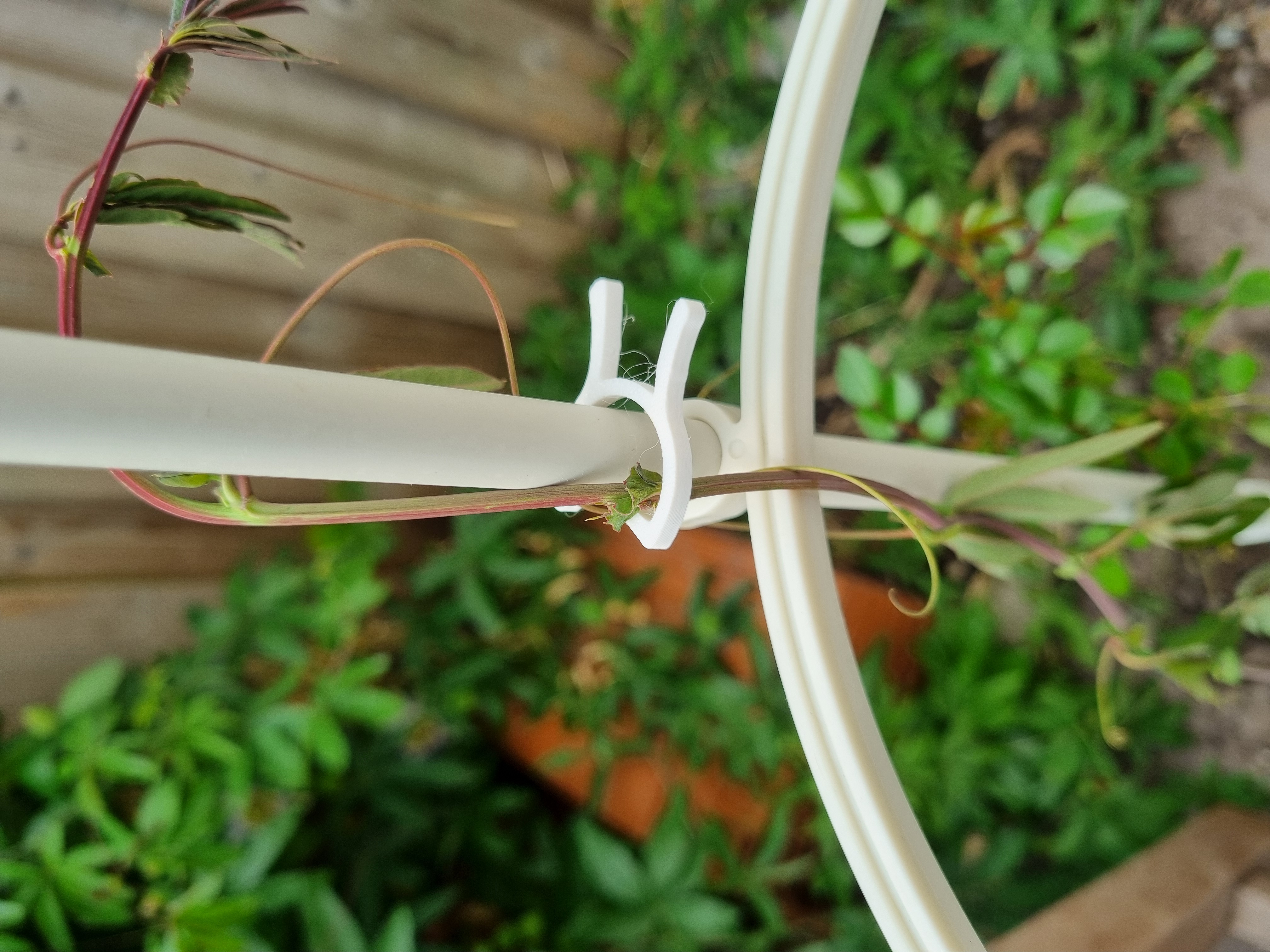 Plantclip