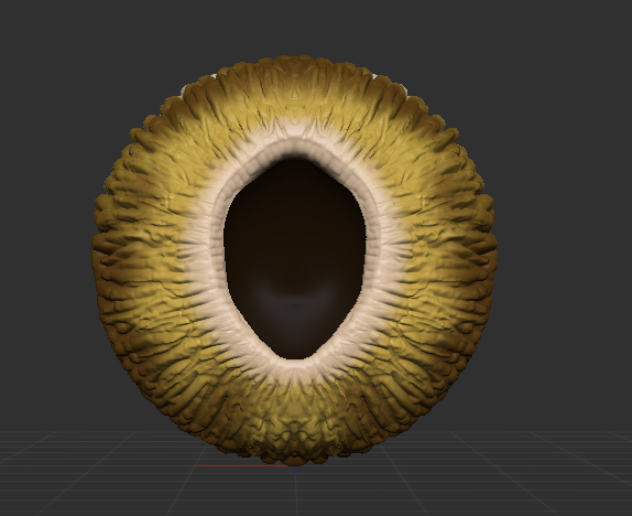 Iguana Eyes