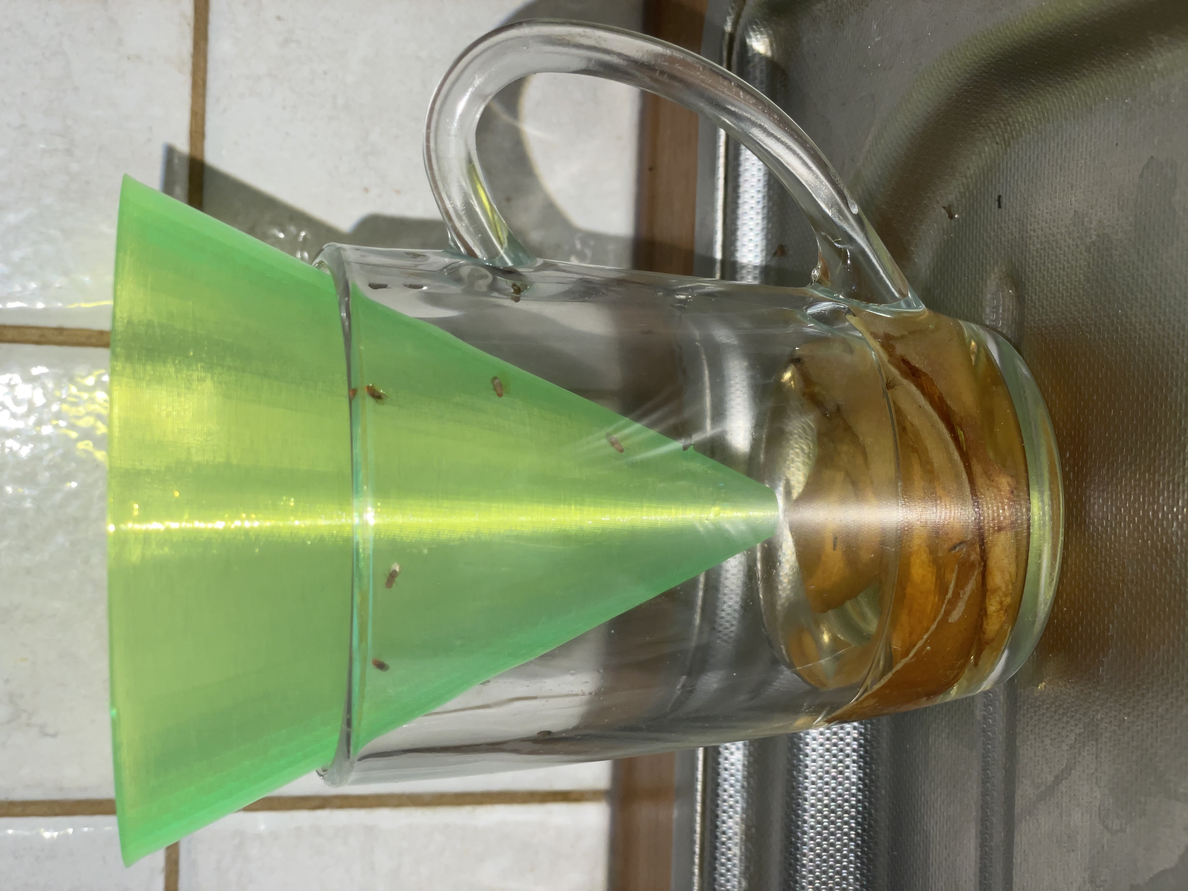 Truncated cone for fruitfly - fruitfly trap
