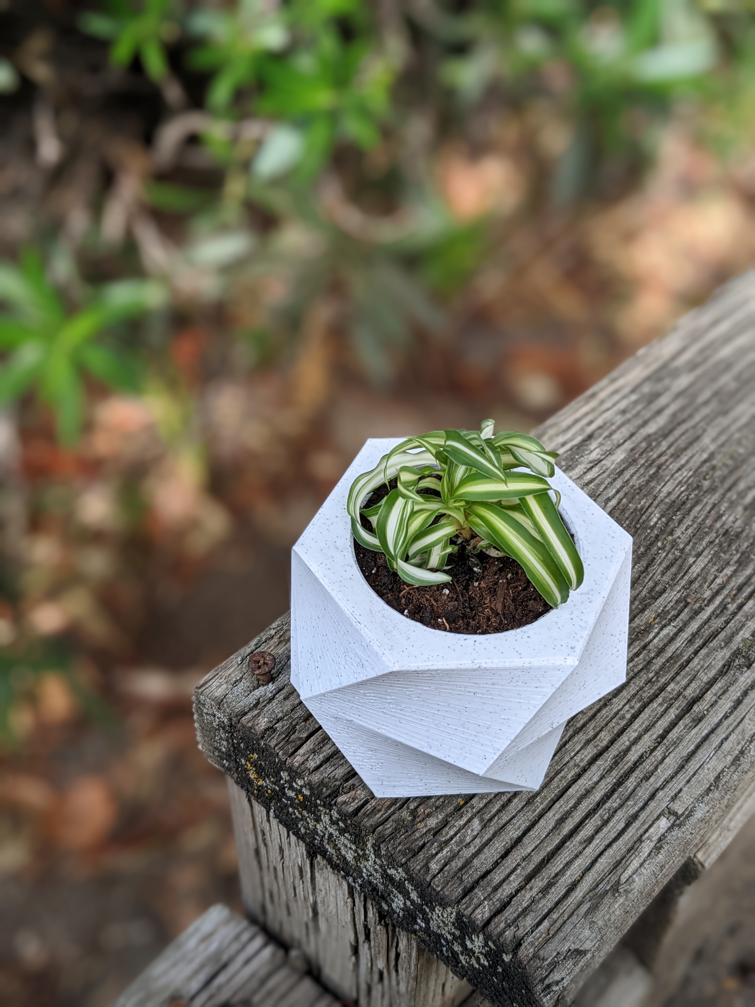 Blocky Planter #1 with drainage hole
