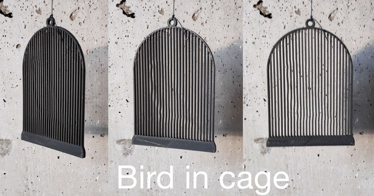 Bird In Cage Optical Illusion Printable