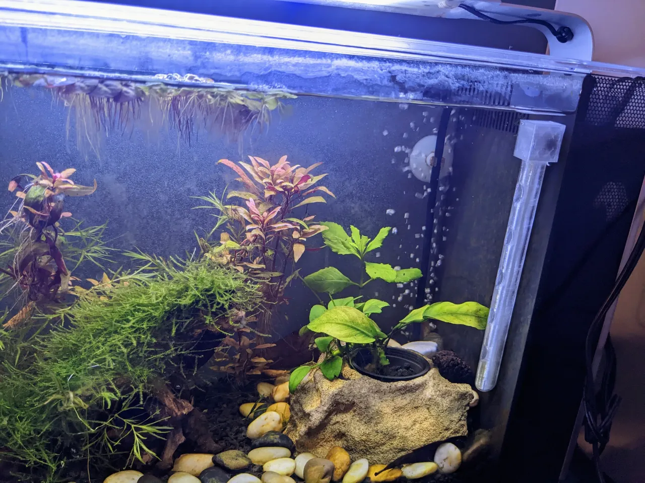 Fluval spec outlet v new version