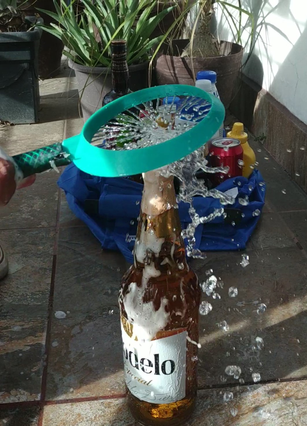 Bottle Washer