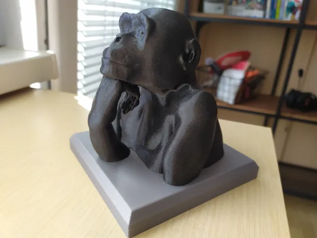 The Chimp Thinker
