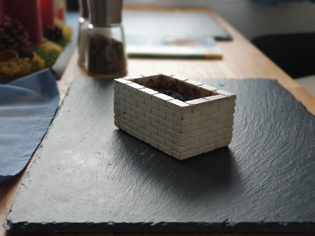 mini cress raised bed mold