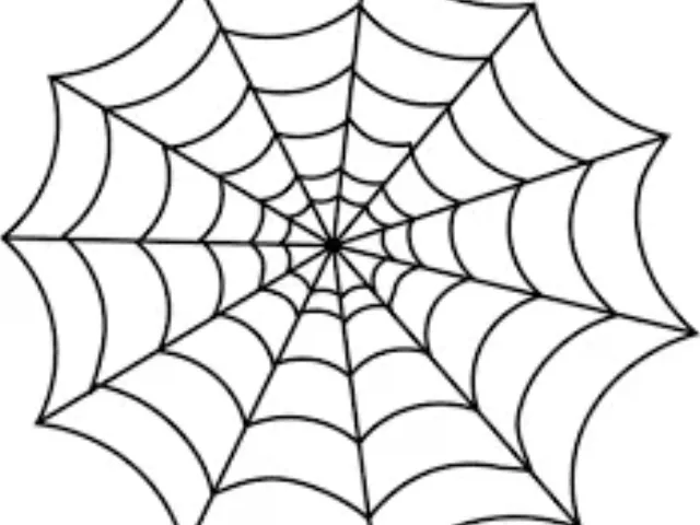 spiderweb shelf supports