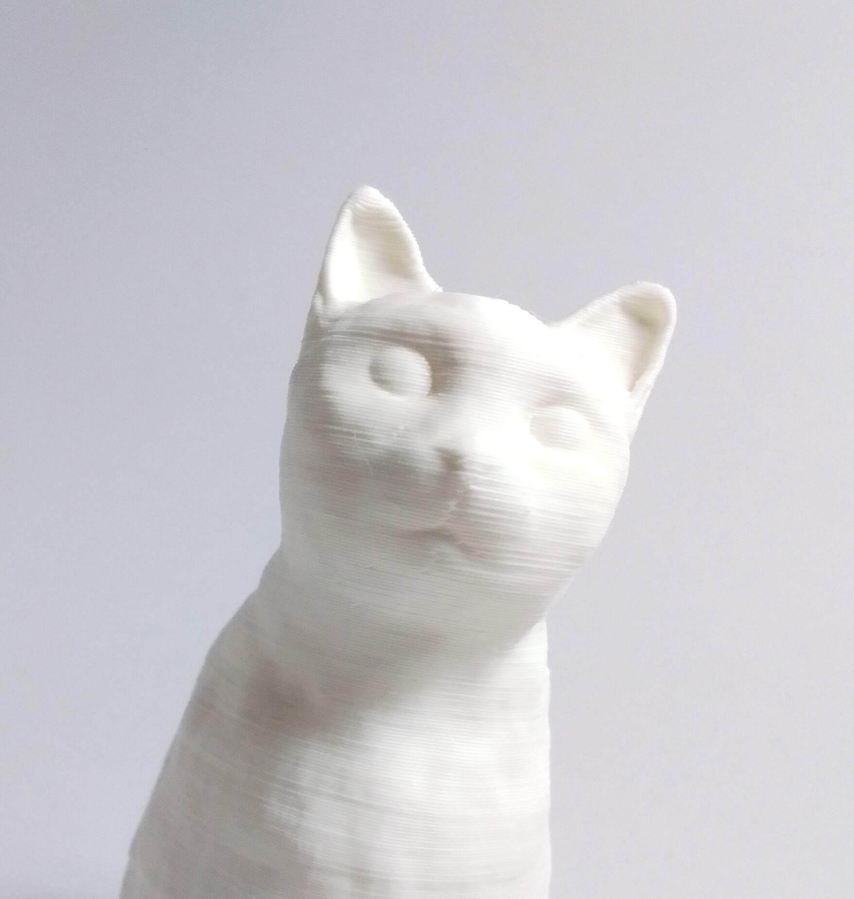 Miniatura 2 do modelo 3D Sculpted Sitting Cat