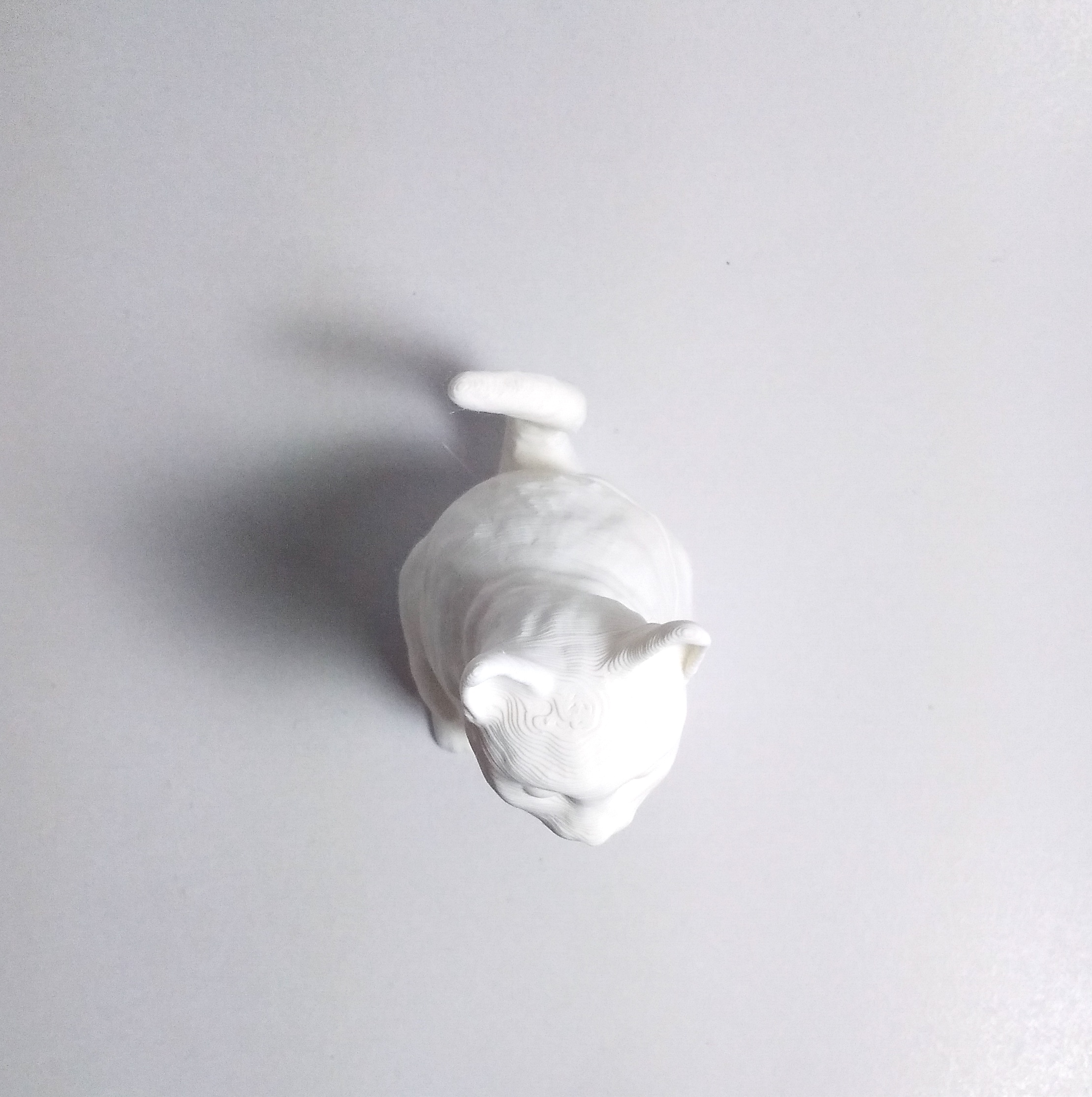 Miniatura 3 do modelo 3D Sculpted Sitting Cat