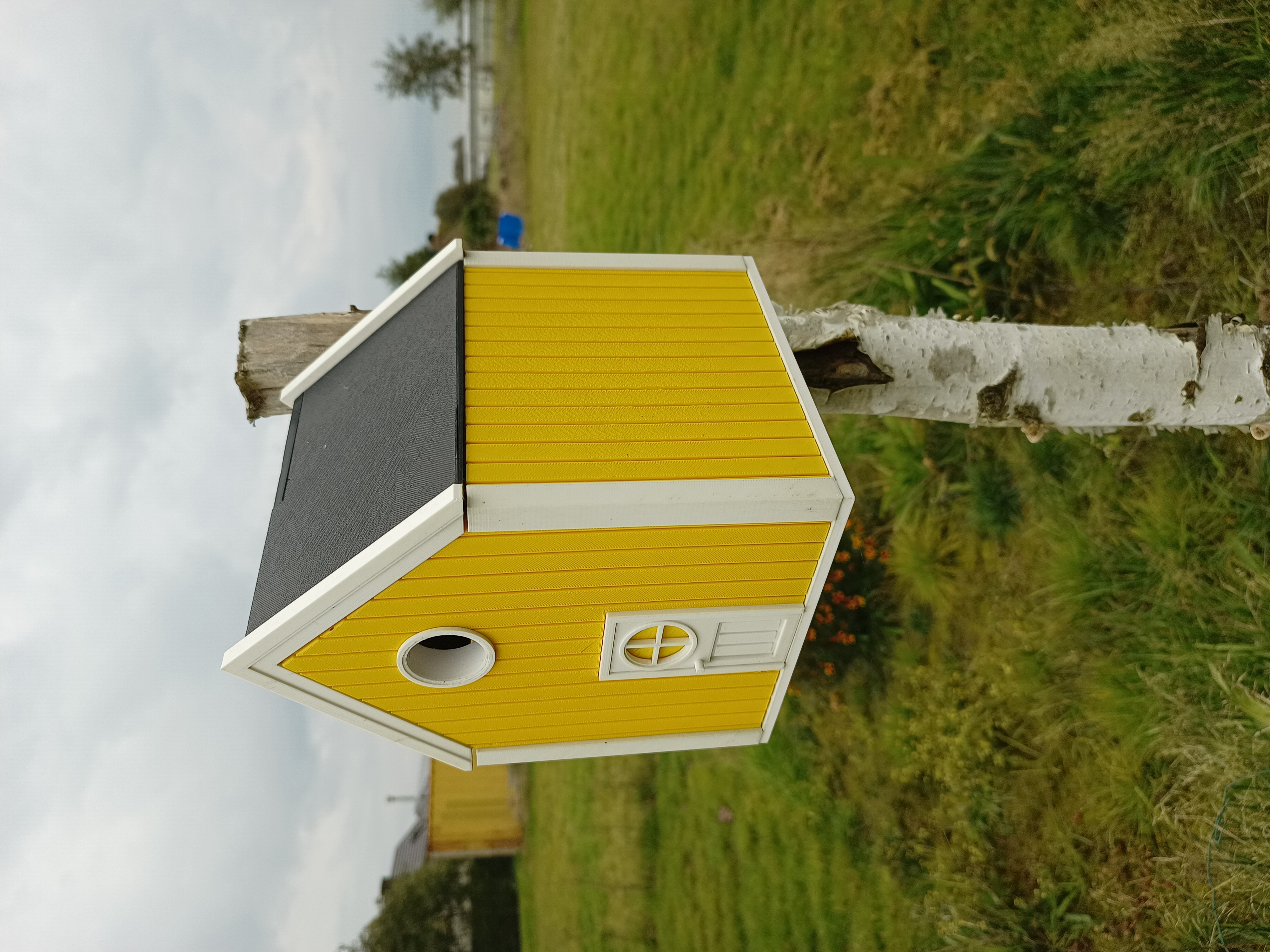 Miniatura 5 do modelo 3D Bird house