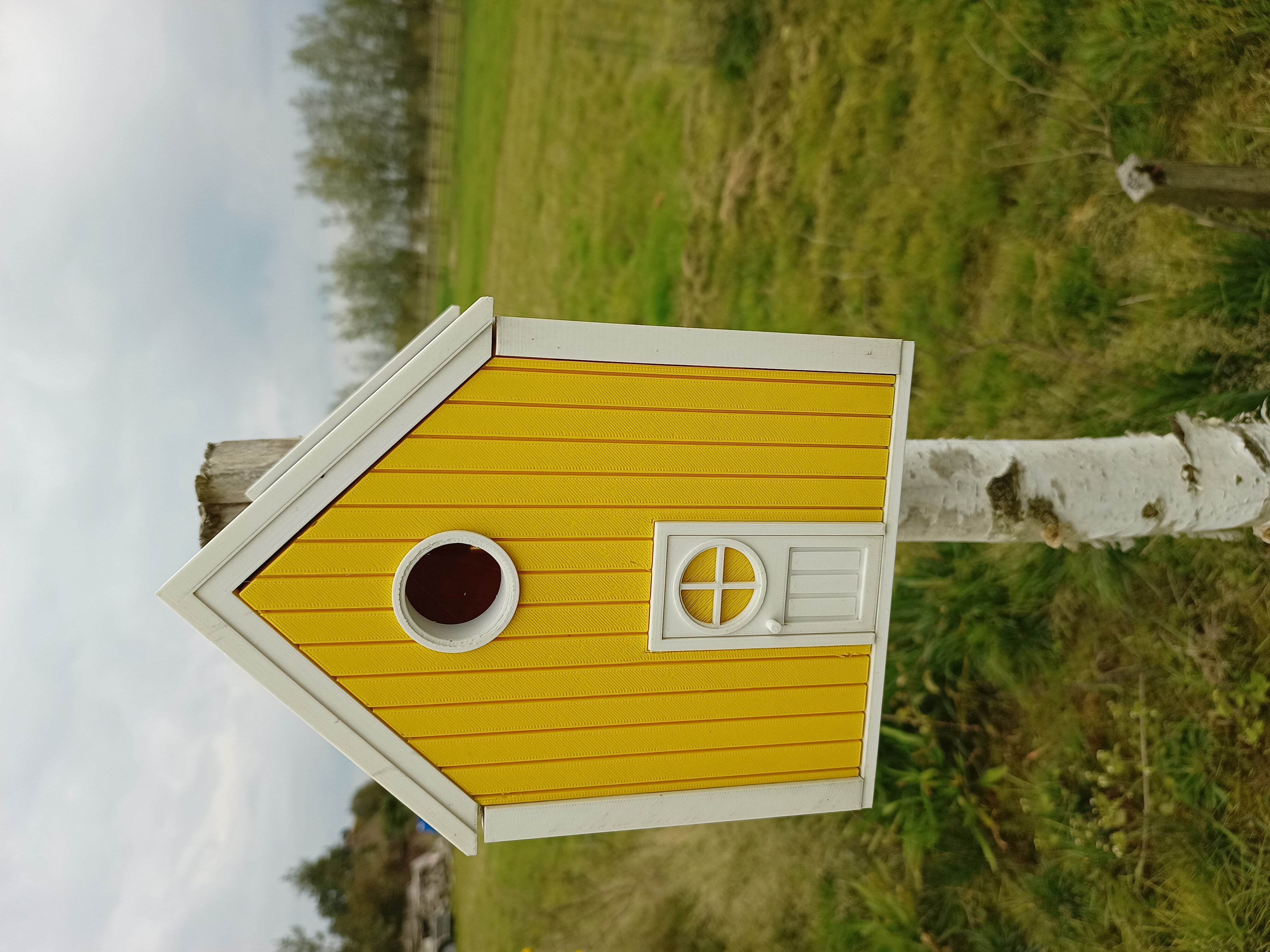 Miniatura 3 do modelo 3D Bird house