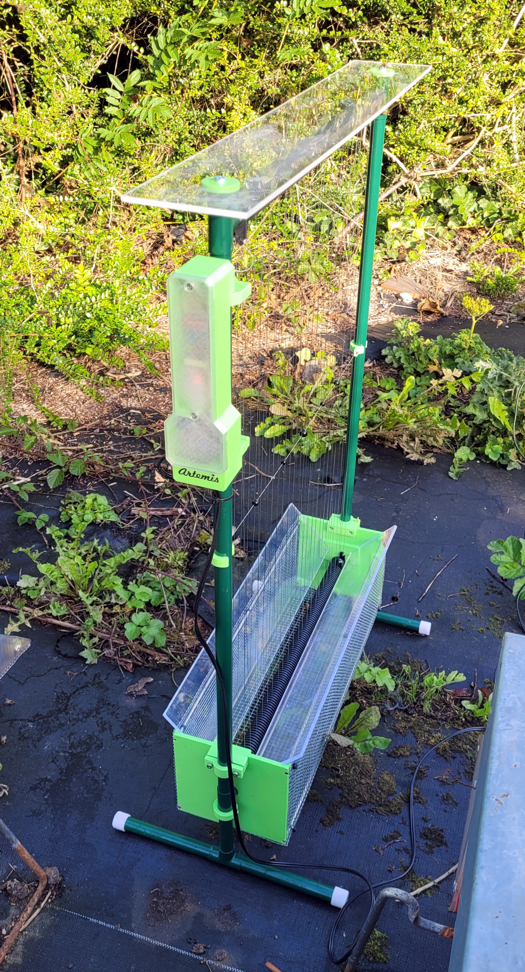 Artemis an electrical harp against Asian hornets
