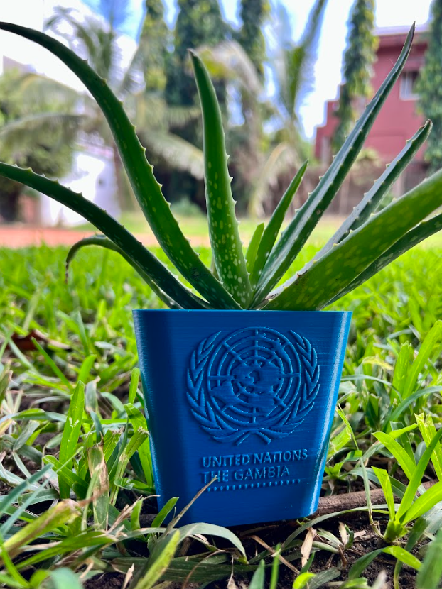 Flower Pot