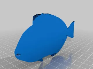 Print this Fish: 3D Printing Challenge by DesignMakeTeach, Download free  STL model