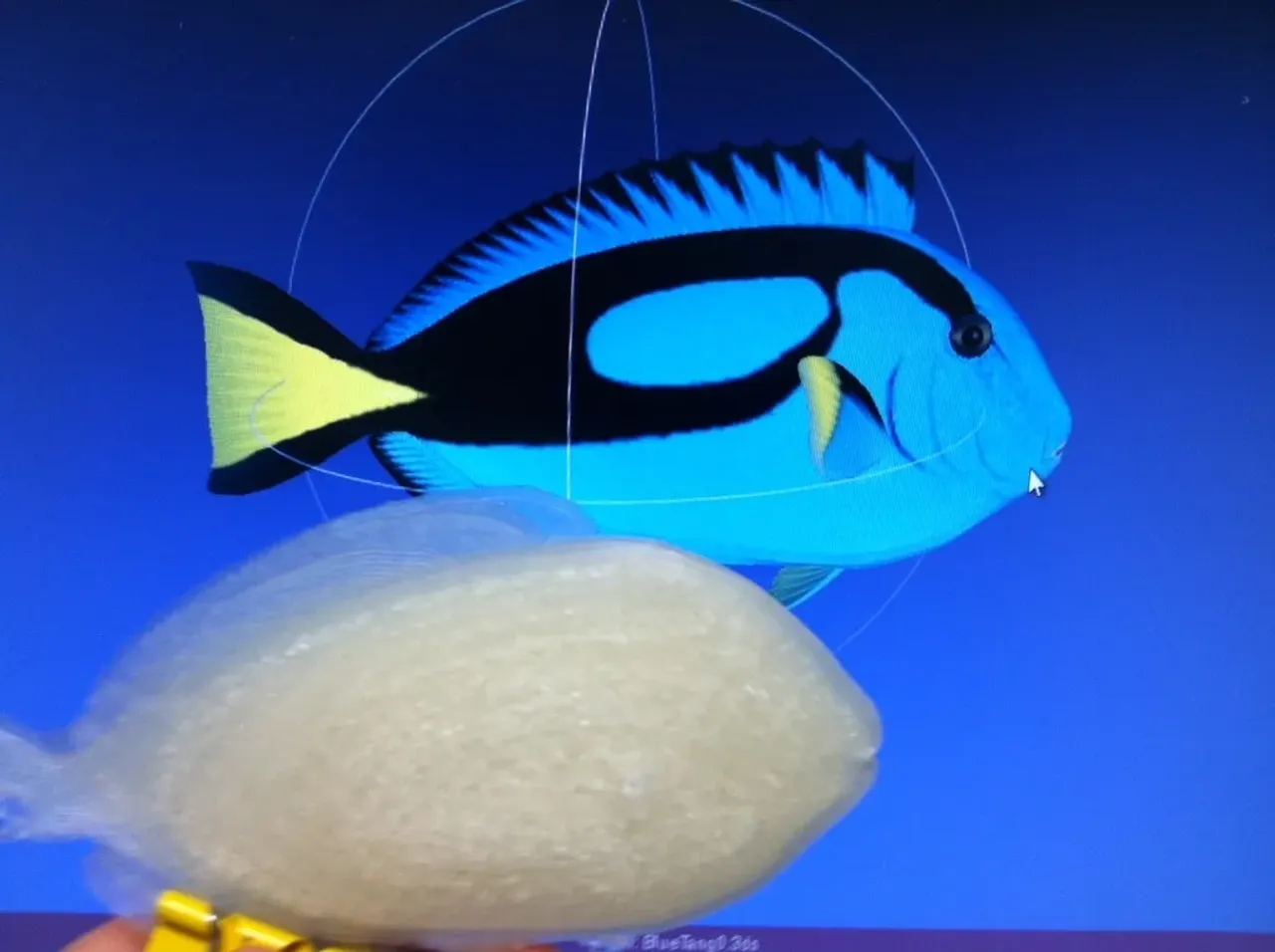 fluke fish 3D Models to Print - yeggi