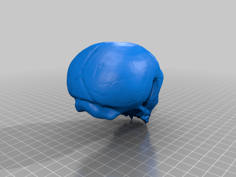 Miniatura 2 do modelo 3D Vampire Skull