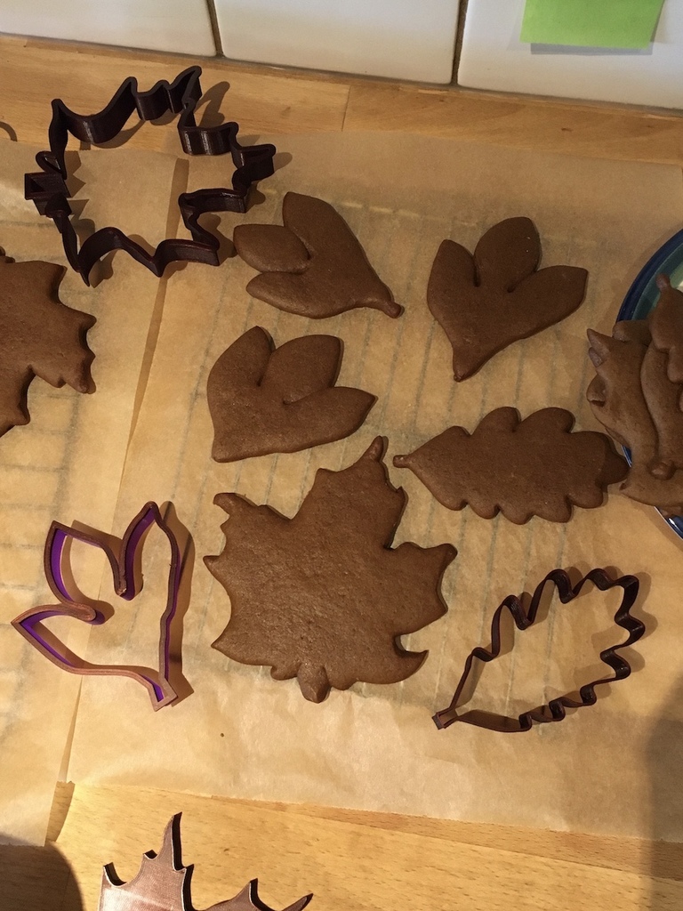 Parametric cookie cutter (with leaf STLs) by Will Download free STL