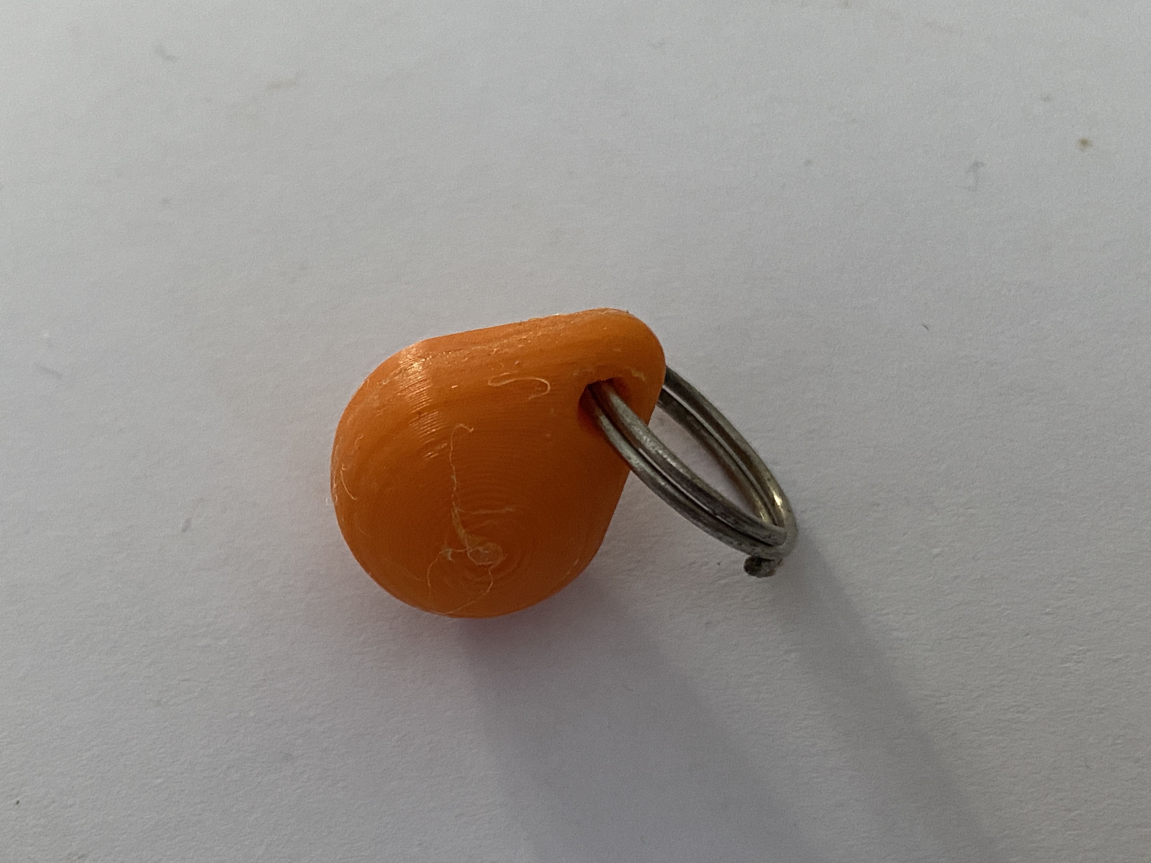 Staywell Catflap Collar key