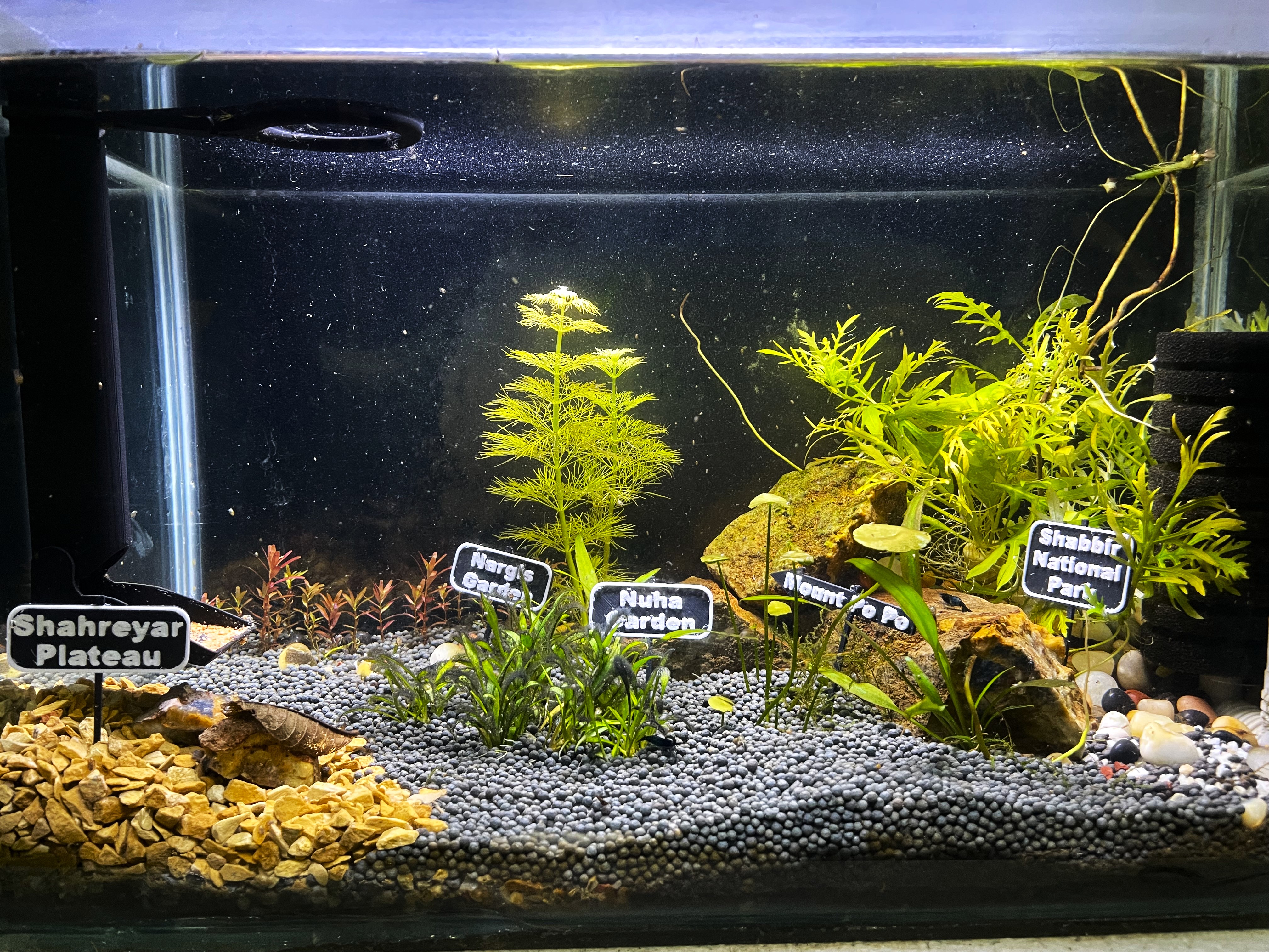 Aquarium Underwater Signboard