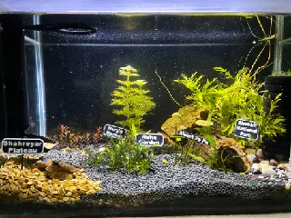 Aquarium Underwater Signboard