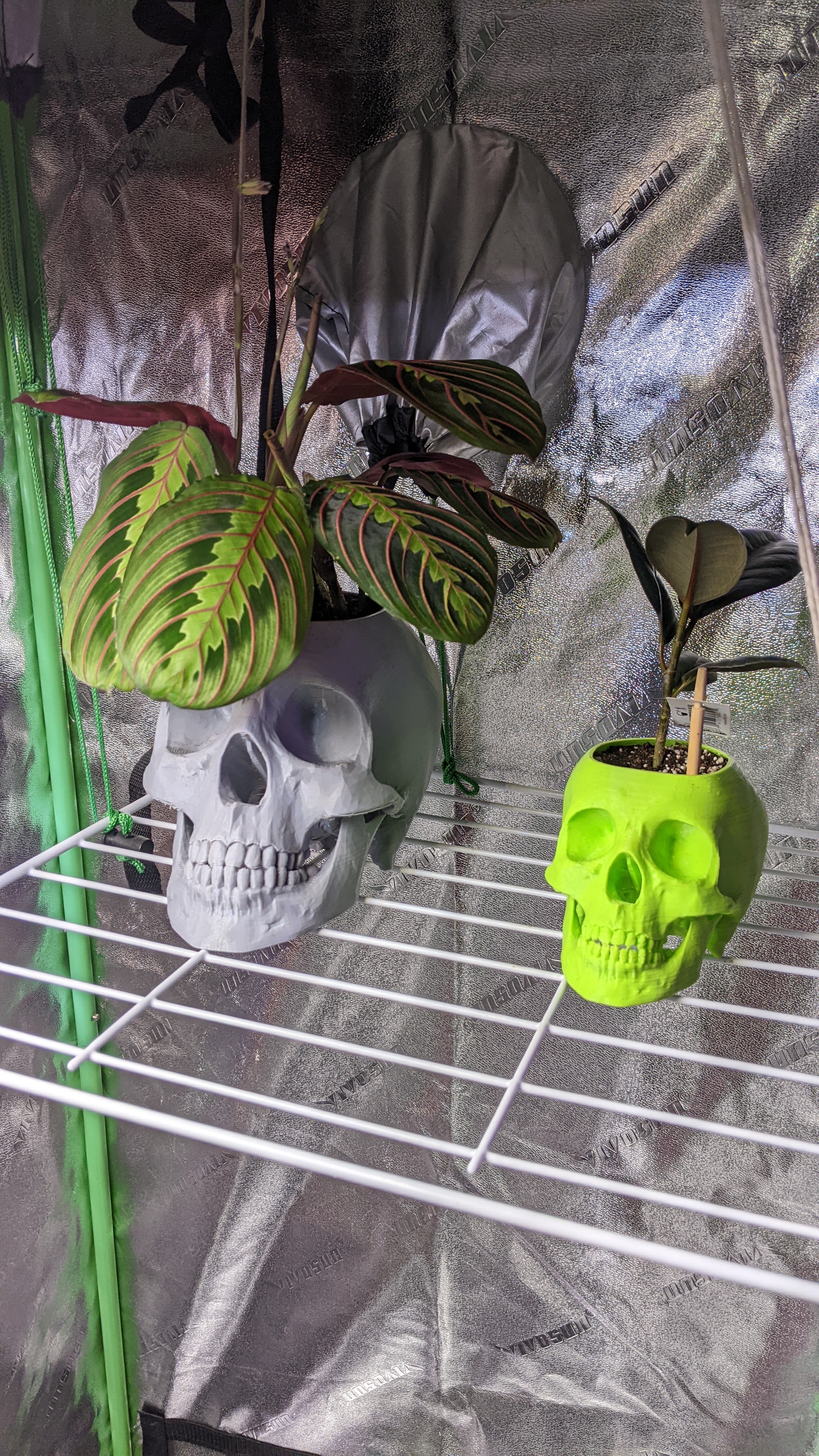 Miniatura 2 do modelo 3D Skull Planter