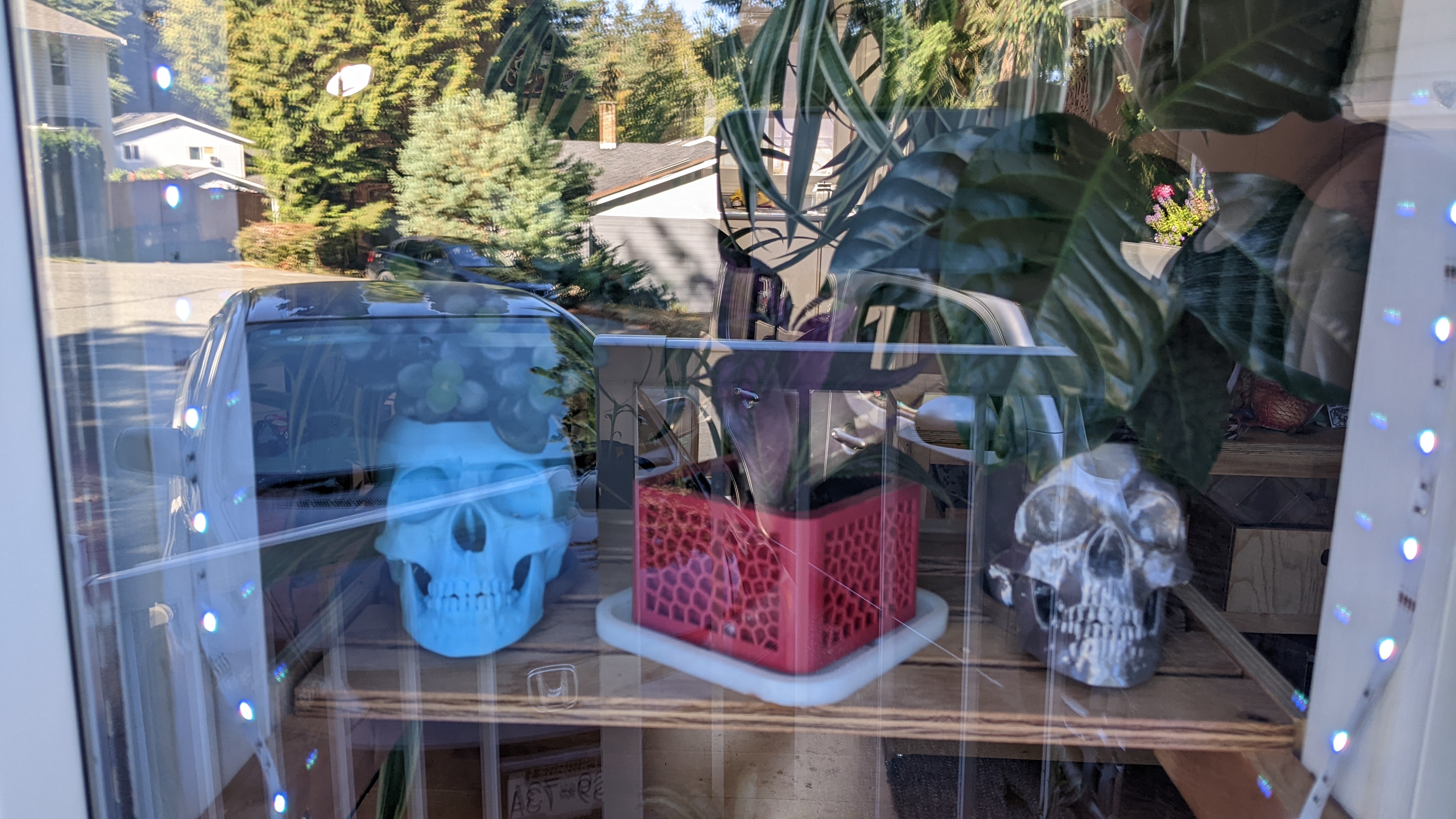 Miniatura 5 do modelo 3D Skull Planter