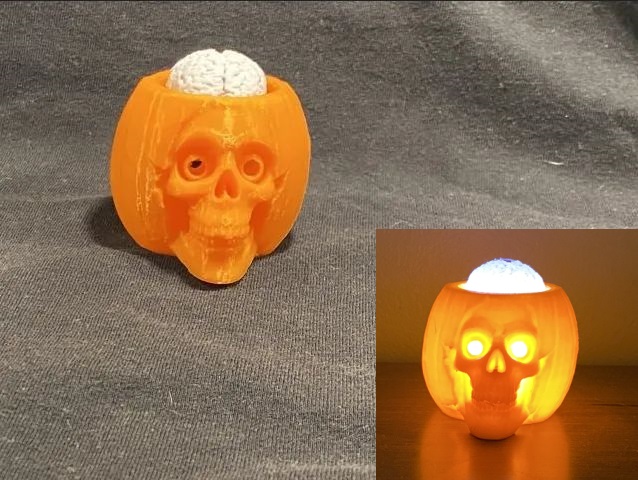 Skull-Pumpkin with Bobbling Brain