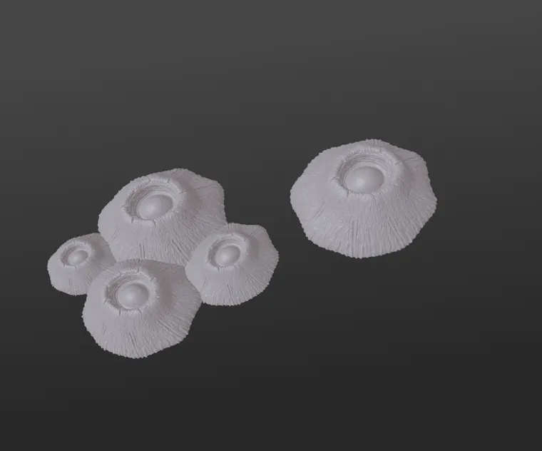 Barnicles by DragonArtist15 | Download free STL model | Printables.com
