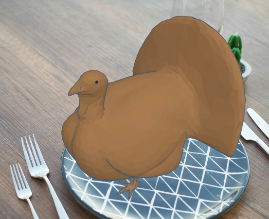 Thanksgiving Turkey