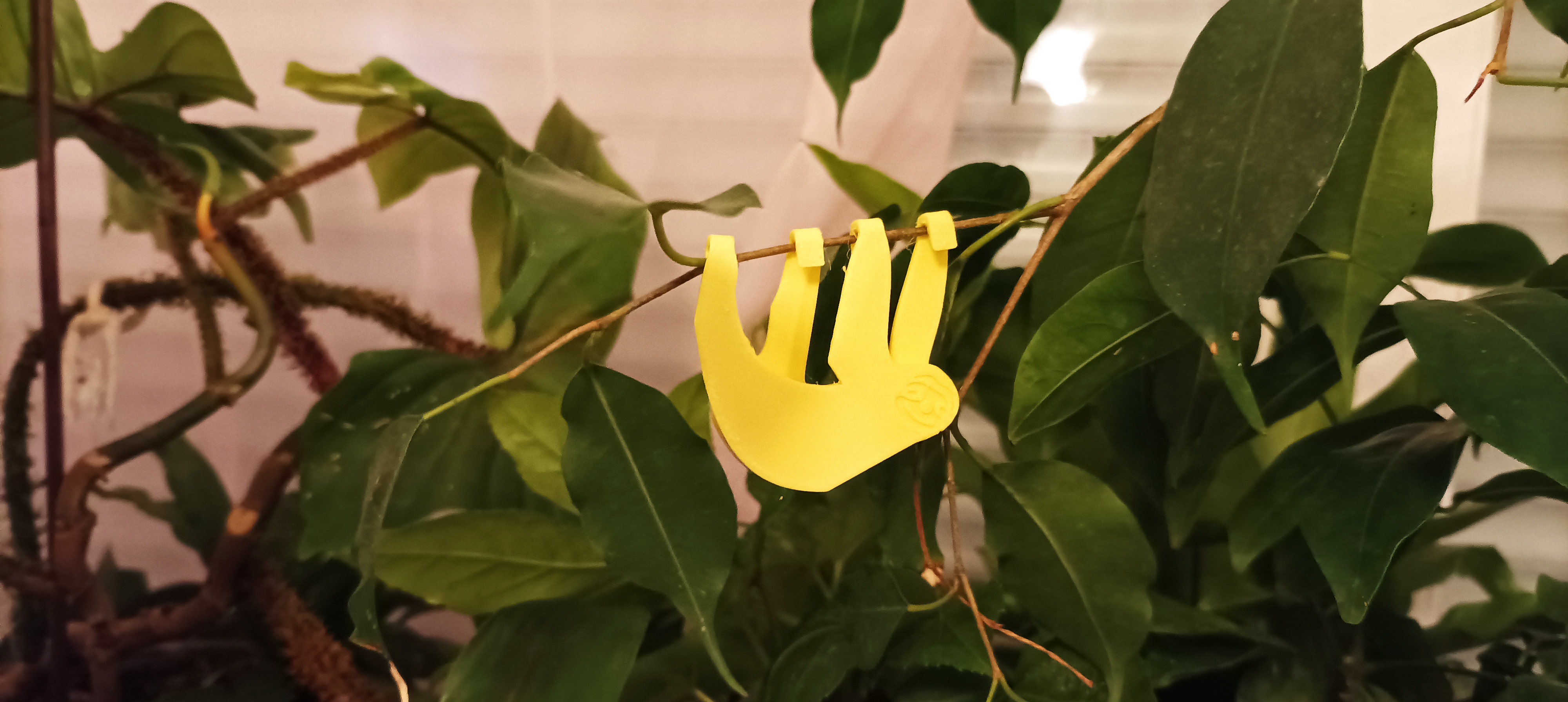 Paresseux pour décoration de plante