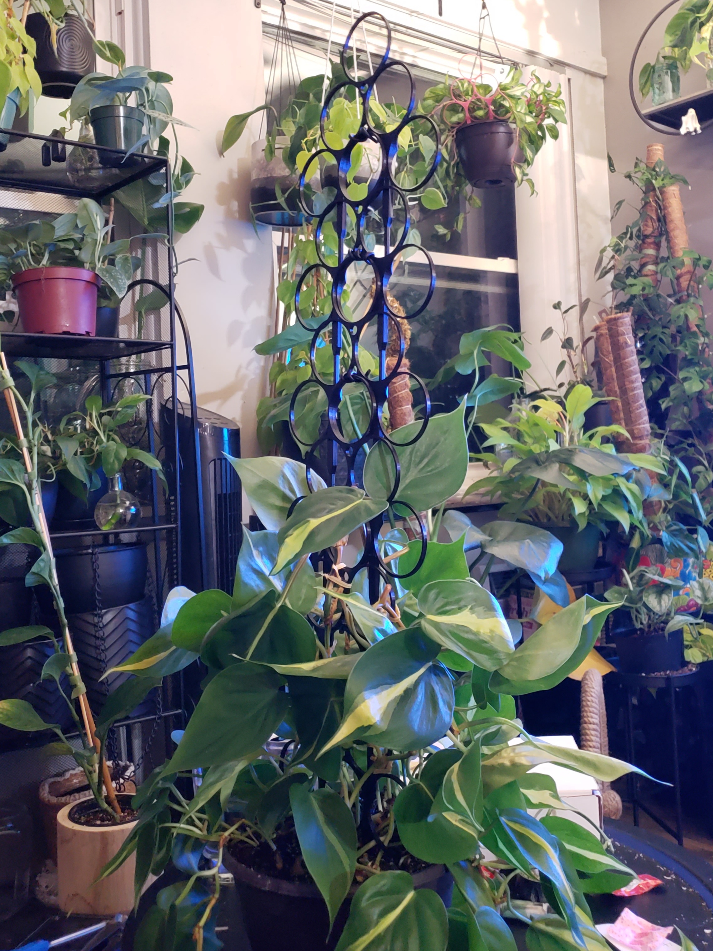 Stacking Circle Trellis — miniatura 3