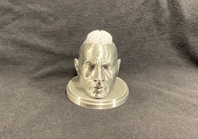 Action Dwayne "The Rock" with Bobbling Brain