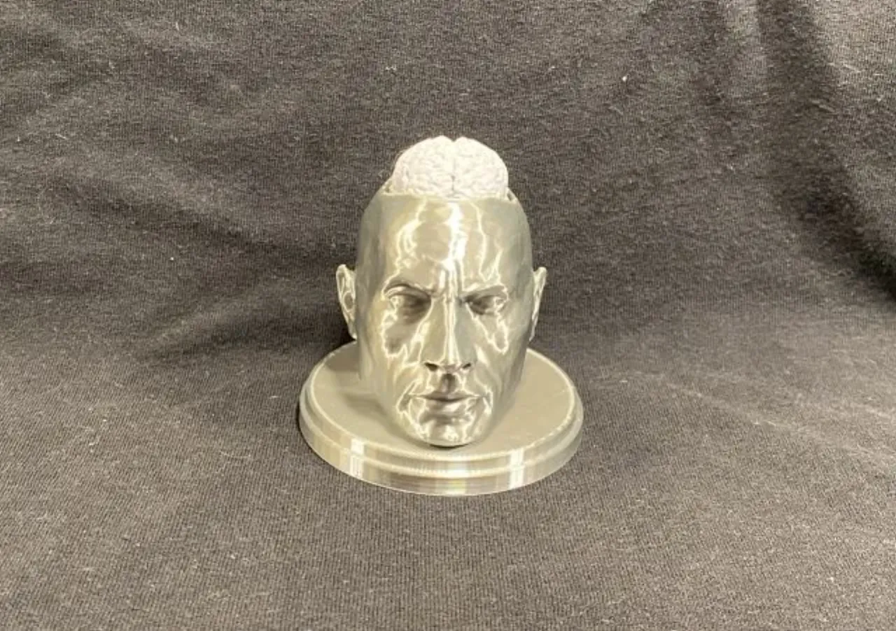 Among Rocks Dwayne Johnson 3D Printed 