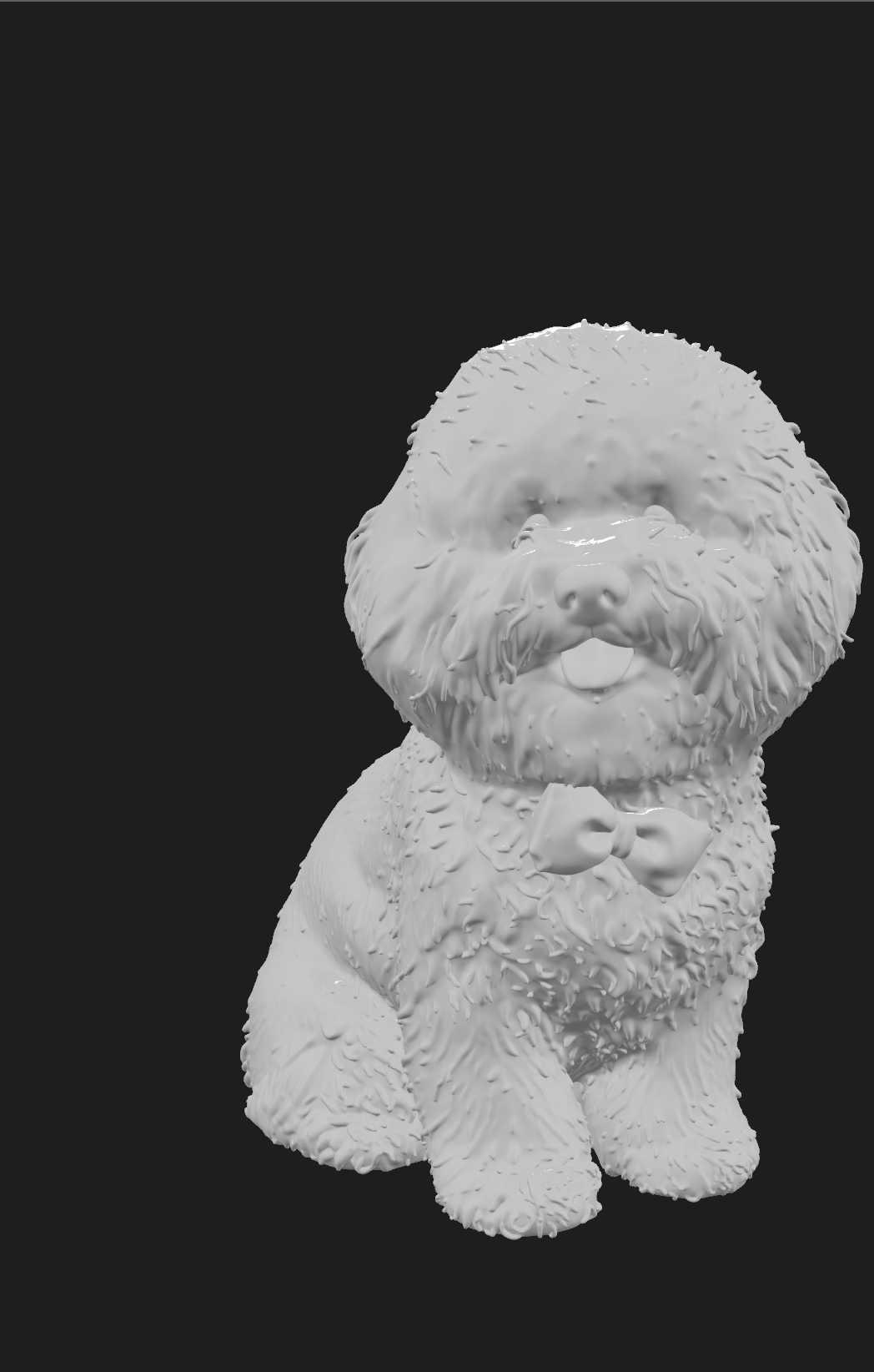 fluffy doggie