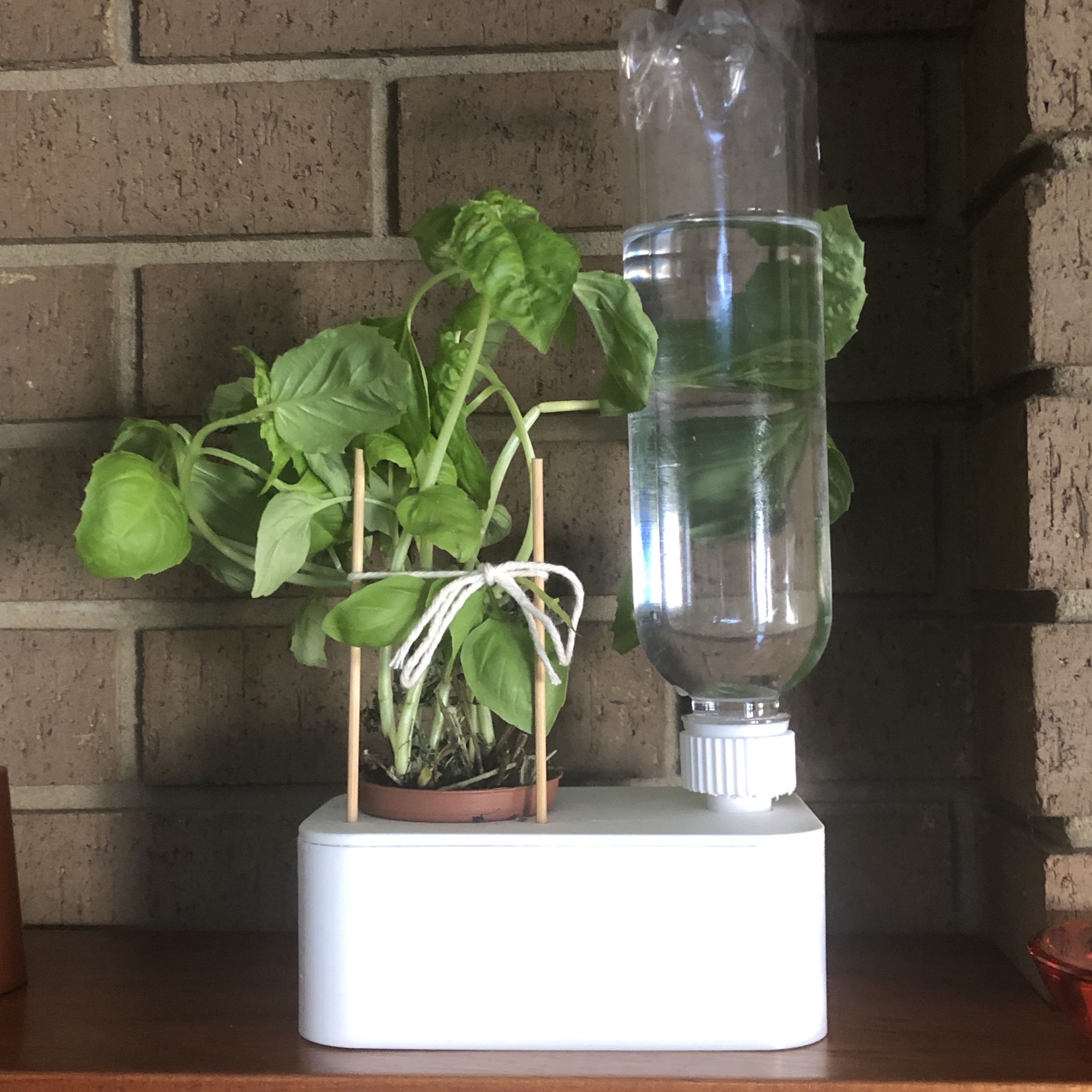 Self Watering Herb Planter
