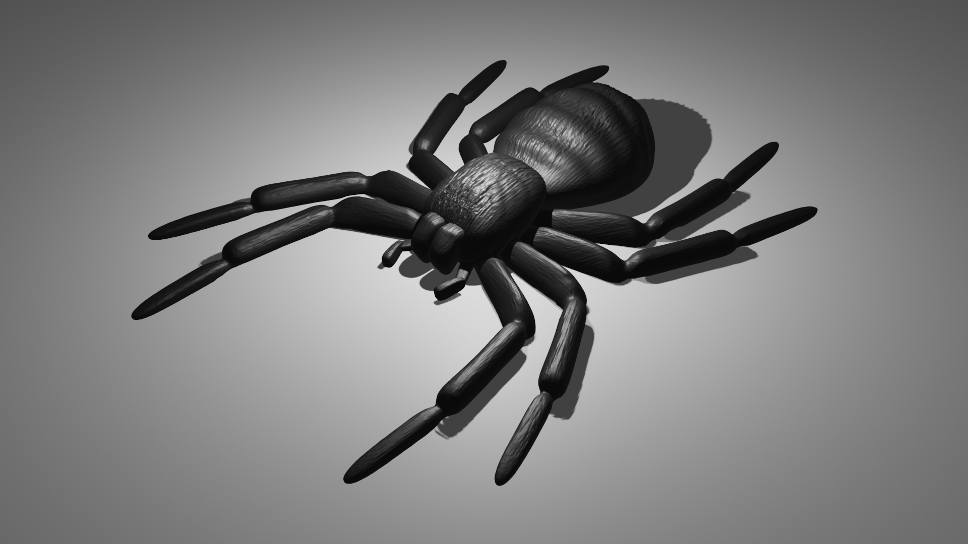 Black House Spider - Flat print