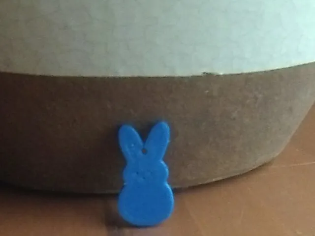 peep ear ring