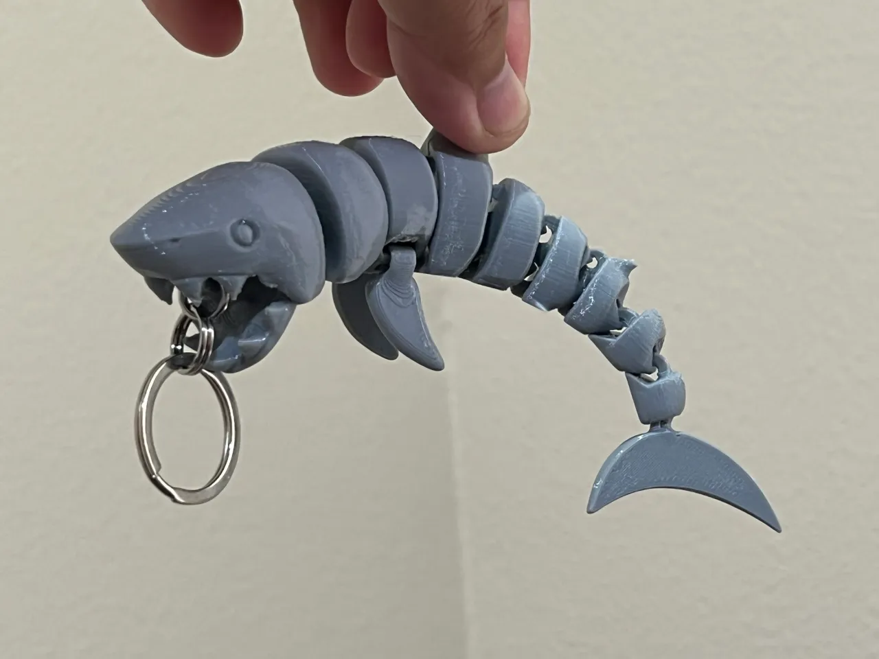 shark made in blender | 3D model