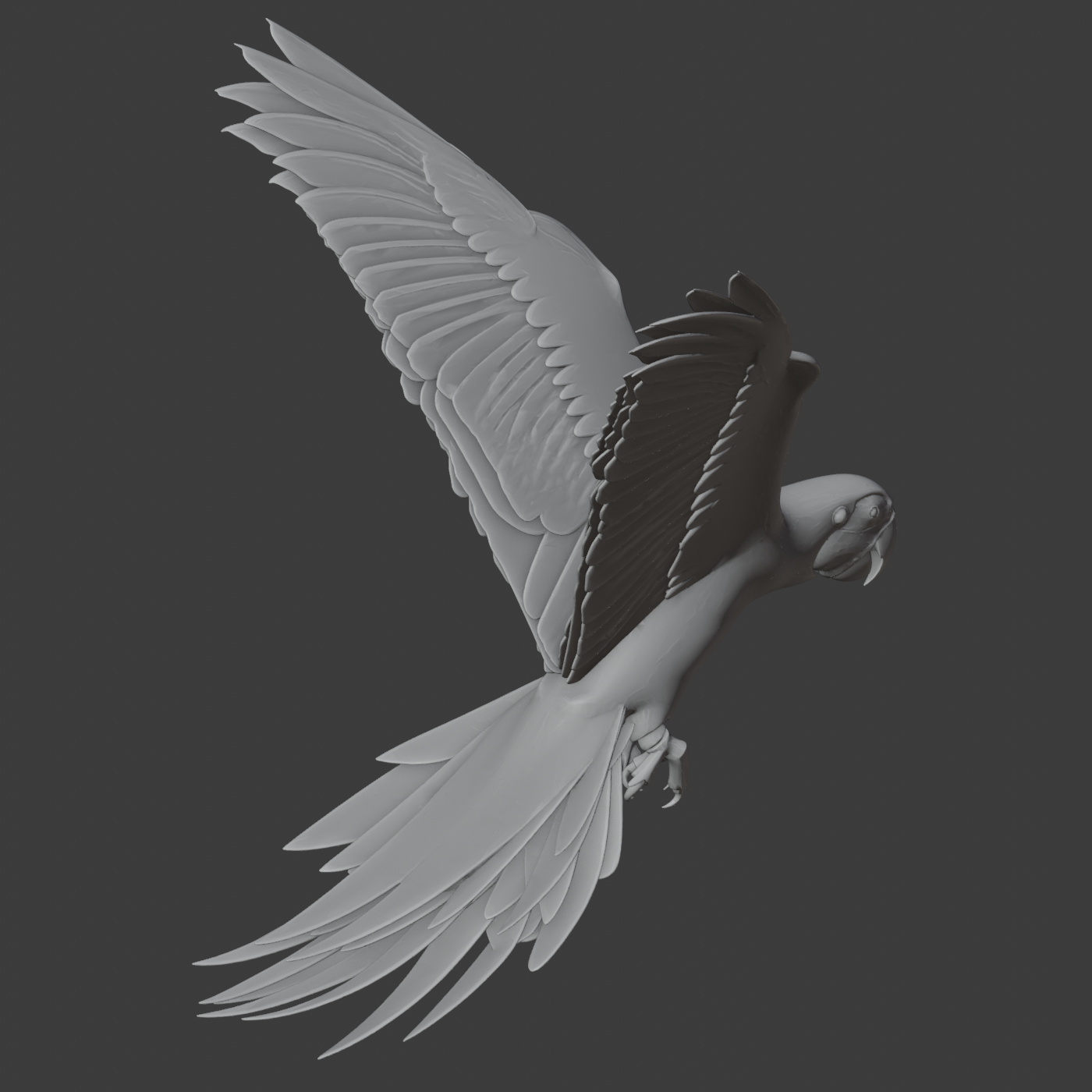 Parrot