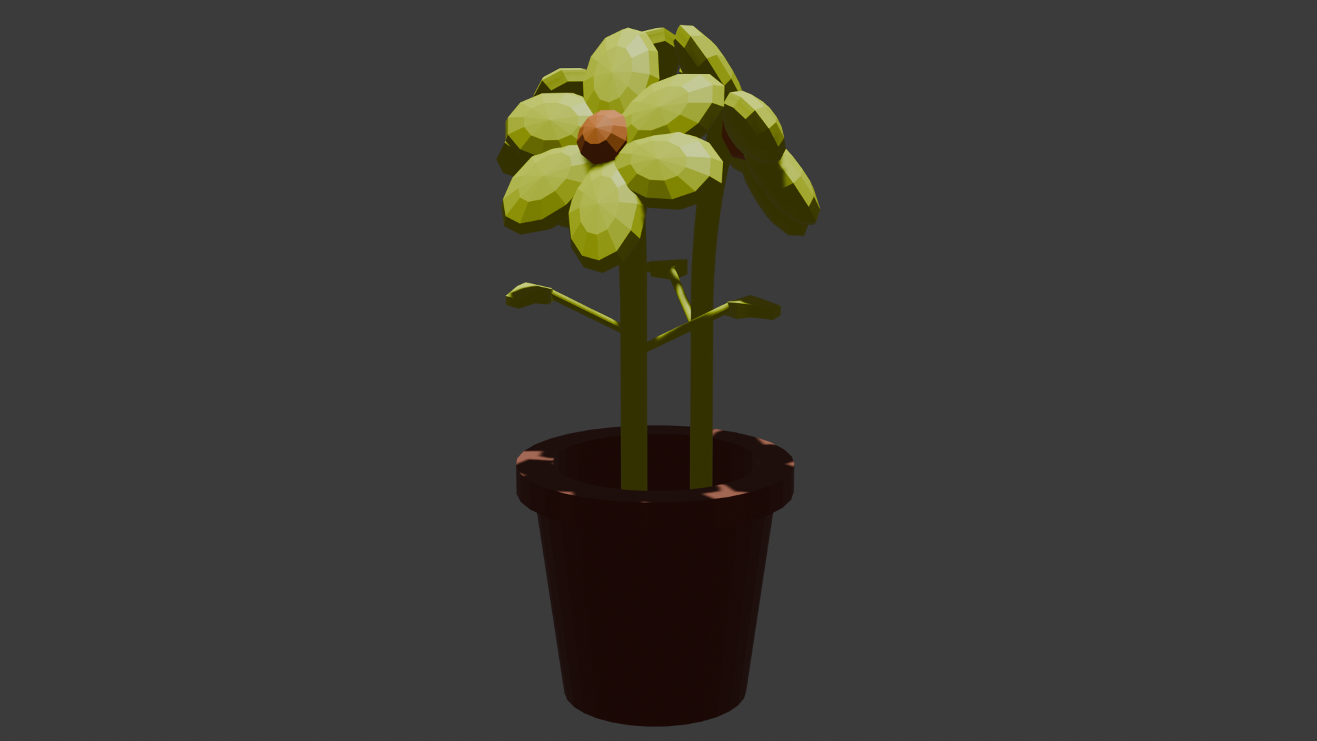 Pot with flowers