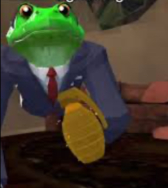 animal company frog ragdoll