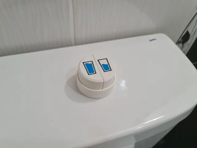 Large toilet flush buttons