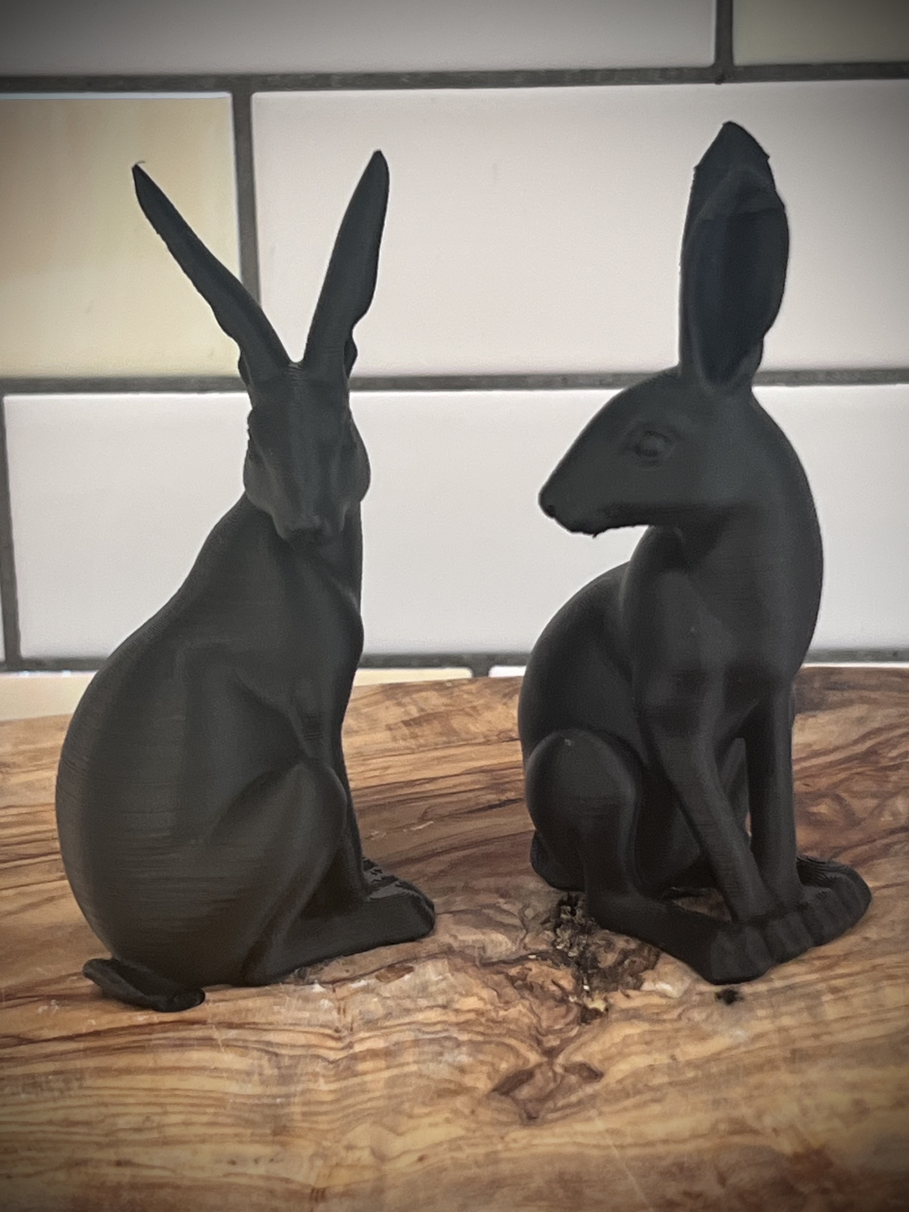 Sitting hare