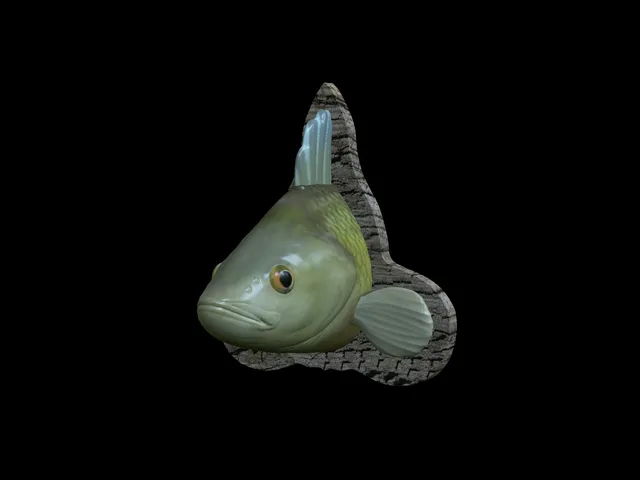 European Perch Head Trophy